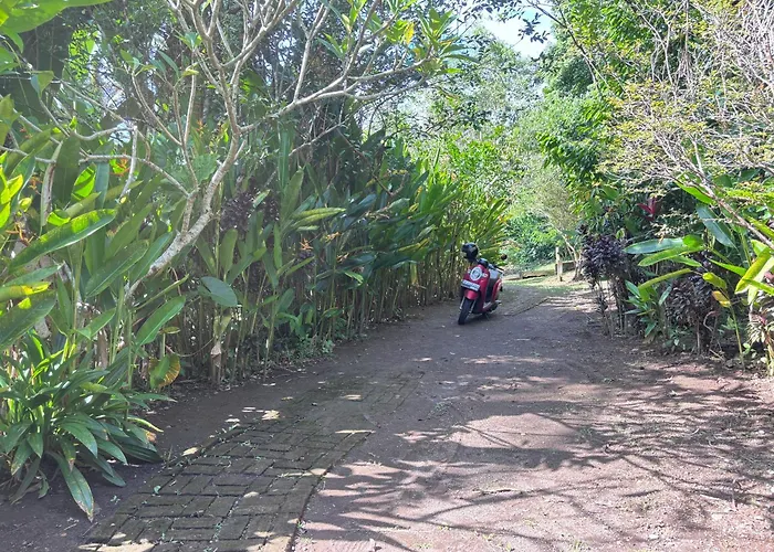River Hut Balian